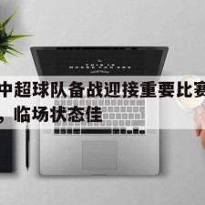 爱游戏直播-中超球队备战迎接重要比赛，临场状态佳(超智能足球之亡灵球队)